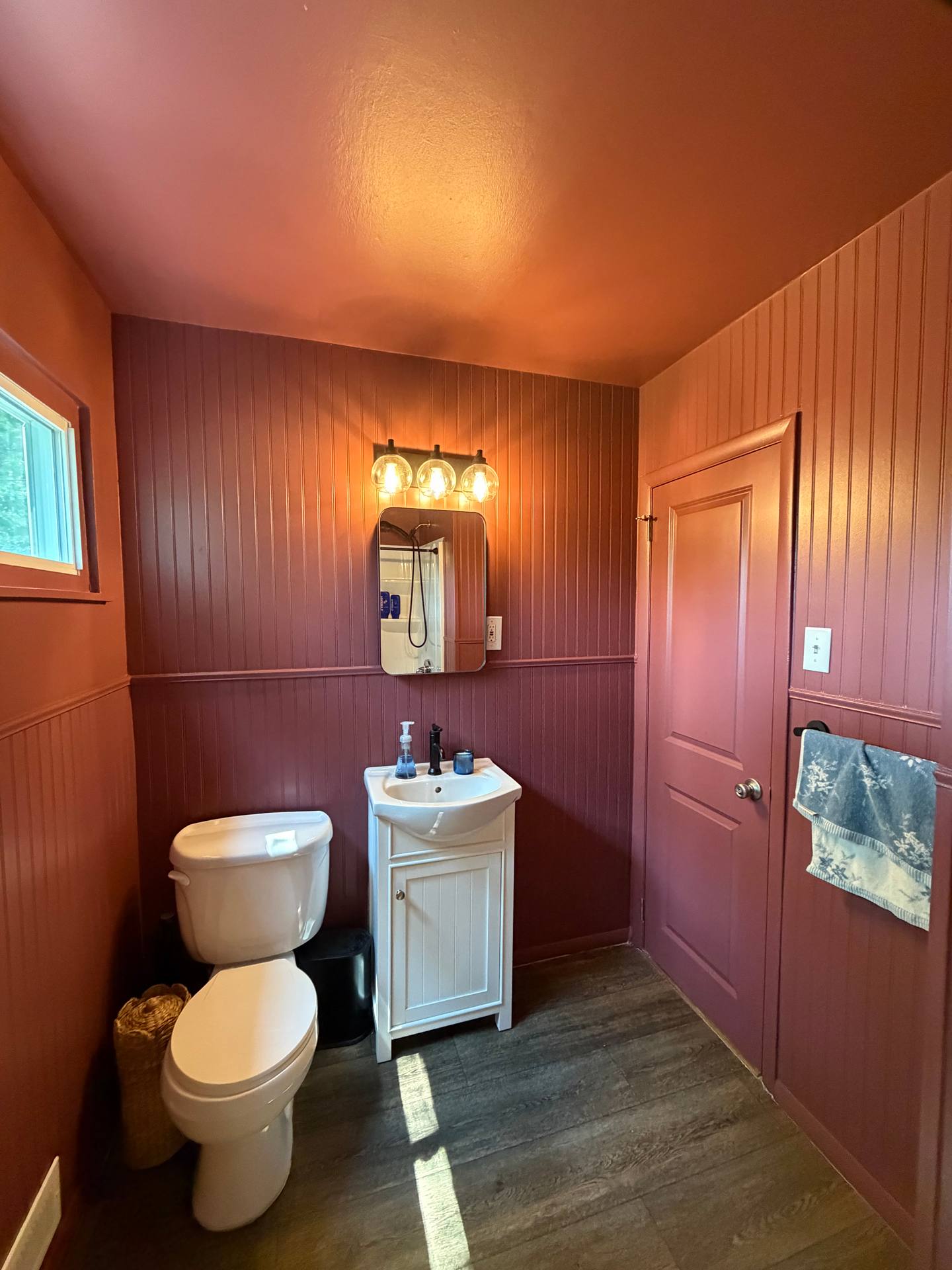 Color Drenched Bathroom in Warminster, PA